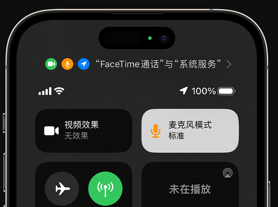 永年苹果授权维修网点分享iPhone在通话时让你的声音更清晰 