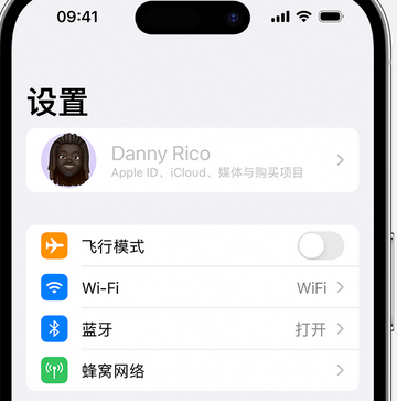 永年appleID维修服务iPhone设置中Apple ID显示为灰色无法使用 