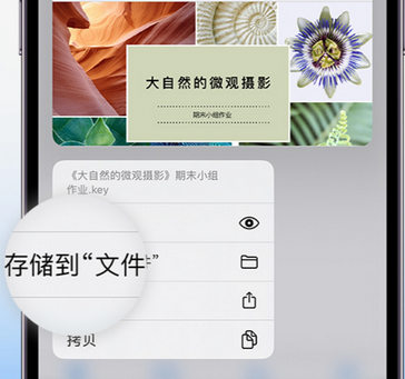 永年apple维修中心分享iPhone文件应用中存储和找到下载文件