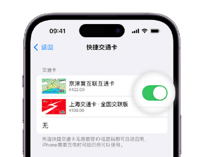 永年apple维修点分享iPhone上更换Apple Pay快捷交通卡手绘卡面 