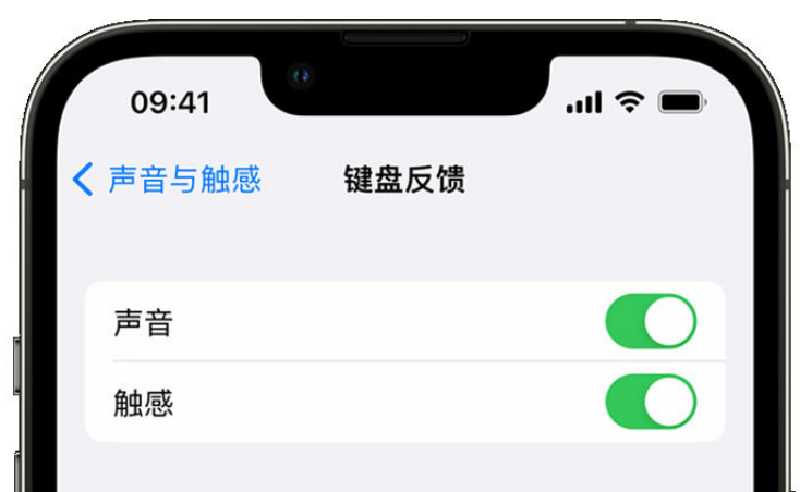 永年苹果手机维修分享iPhone 14触感键盘使用方法 