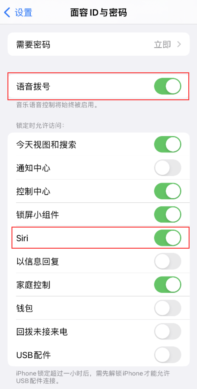 永年苹果维修网点分享不解锁 iPhone 的情况下通过 Siri 拨打电话的方法 