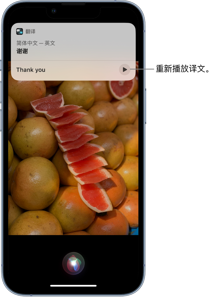 永年苹果14维修分享 iPhone 14 机型中使用 Siri：了解 Siri 能帮你做什么 