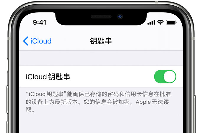 永年苹果手机维修分享在 iPhone 上开启 iCloud 钥匙串之后会储存哪些信息 