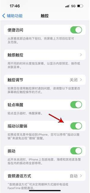 永年苹果手机维修分享iPhone手机如何设置摇一摇删除文字 