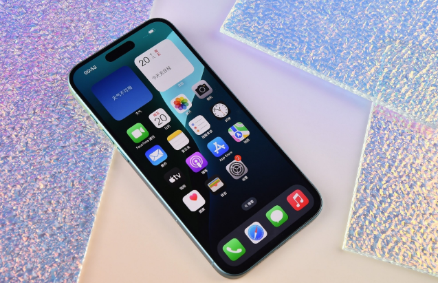永年苹果手机维修分享为什么大家不喜欢苹果iPhone 16 Plus 