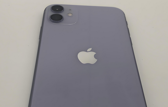 永年苹果11系统维修分享iPhone11手机系统崩溃无法开机如何解决 